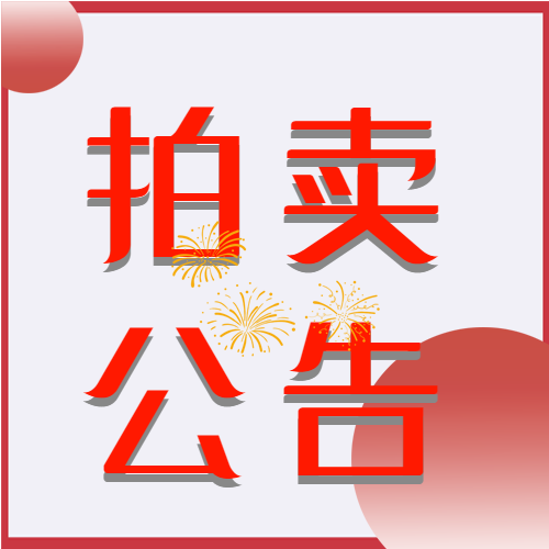 2023年6月15日上饶市广信区五府山毛楼村上禹溪9套房产整体招租（10年）拍卖公告